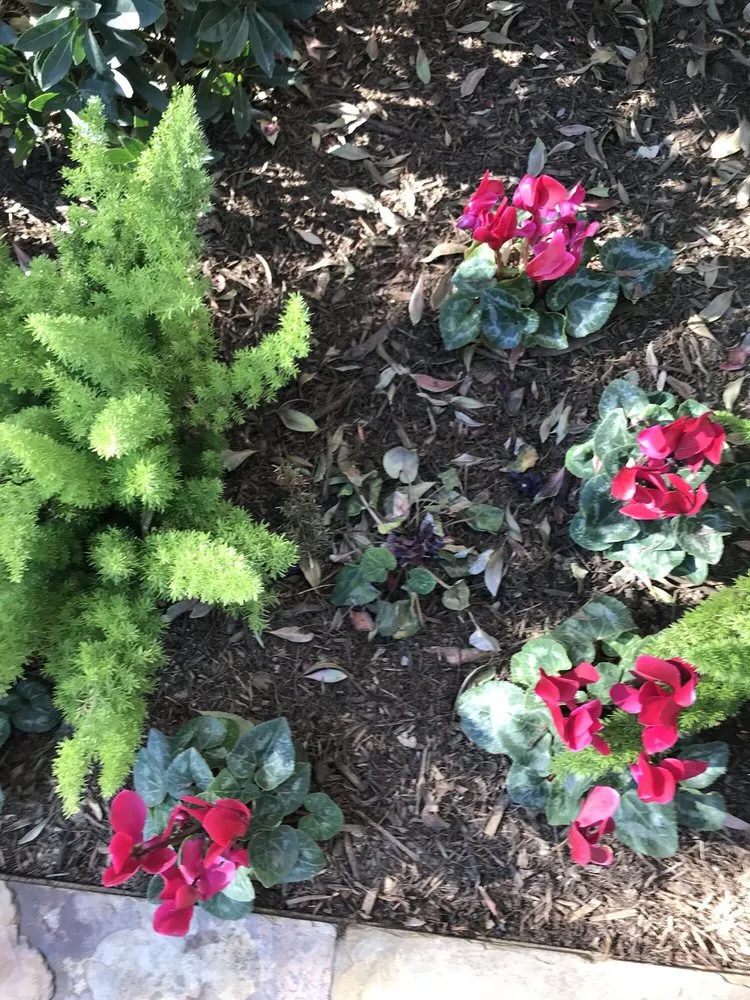 Reliable residential landscaping in Newport Beach, CA by Belville Group Landscaping Services