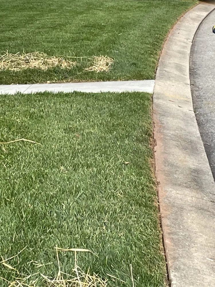 Affordable landscaping services experts serving Dover, PA - BEM Maintenance