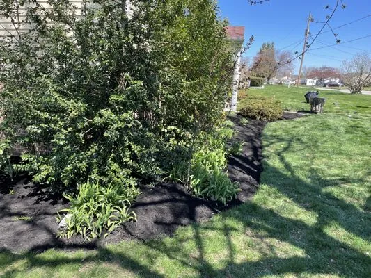 BEM Maintenance Logo