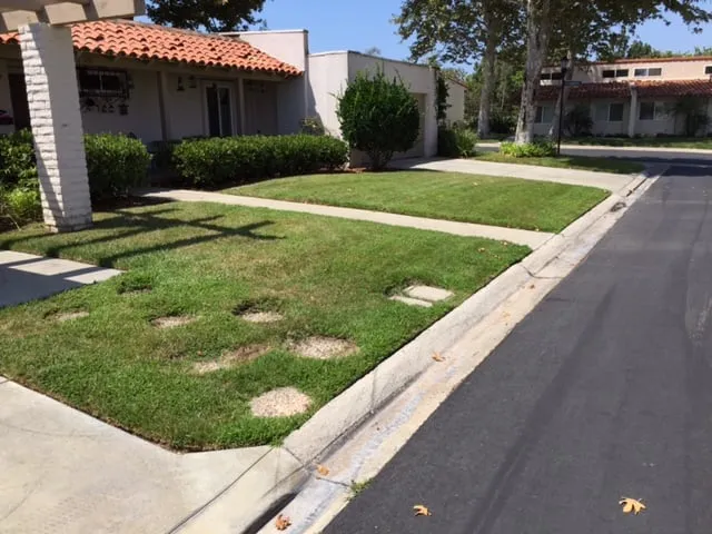 Affordable landscaping services with custom design across San Clemente, CA - Bemus Landscape