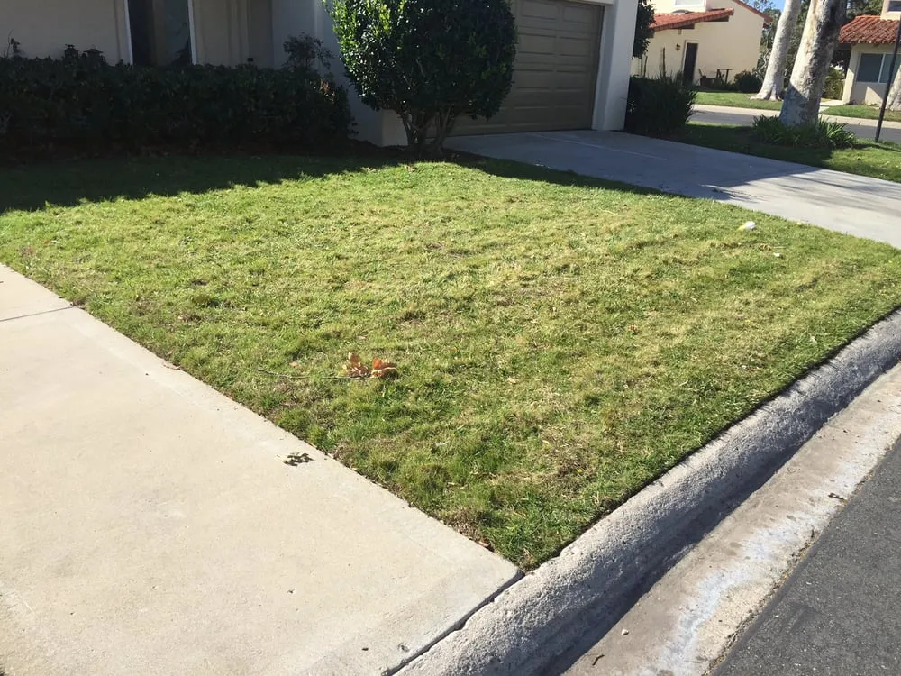 Affordable landscape installation for outdoor upgrades across San Clemente, CA - Bemus Landscape