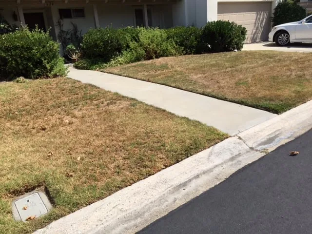 Local landscape design in San Clemente, CA by Bemus Landscape