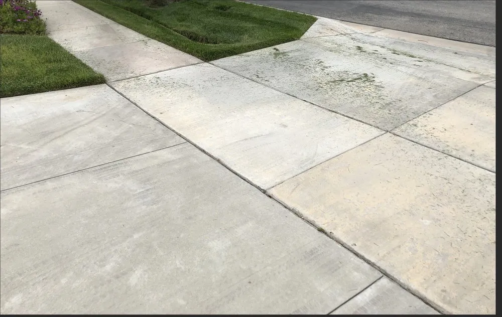 Trusted yard maintenance in San Clemente, CA - Bemus Landscape