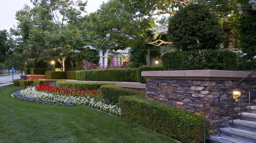 Custom landscape design for homes across San Clemente, CA - Bemus Landscape