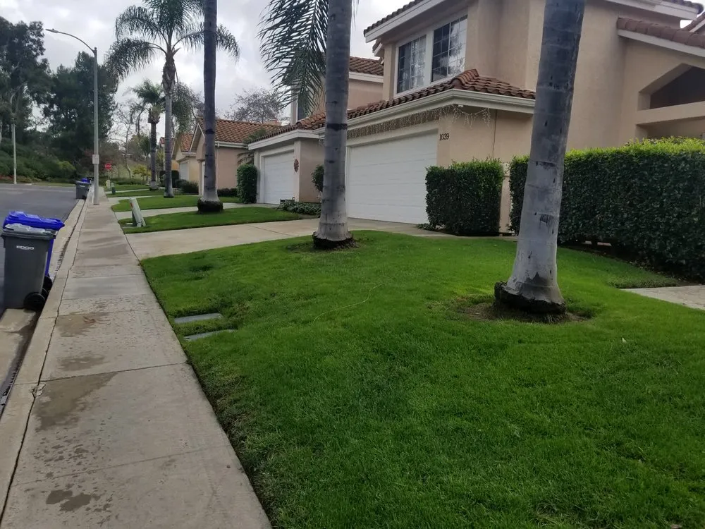 Expert landscape design in San Clemente, CA - Bemus Landscape