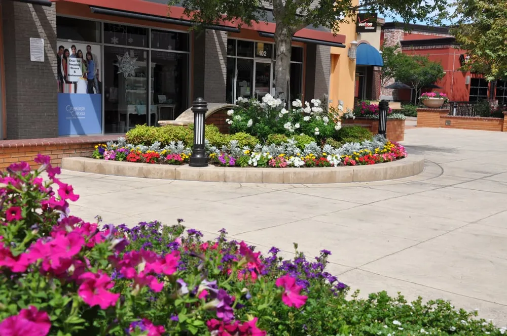 Professional landscape design near you across San Clemente, CA - Bemus Landscape