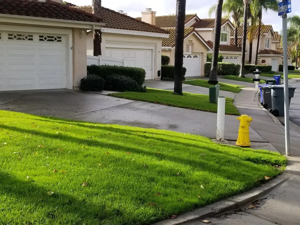 Expert lawn mowing service for outdoor upgrades in San Clemente, CA by Bemus Landscape