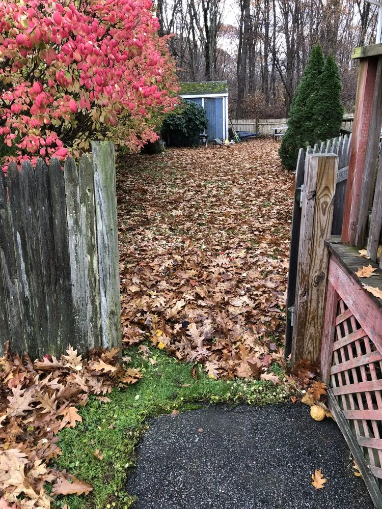 Reliable landscaping services experts serving Worcester, MA - Ben and Andrew’s Landscaping