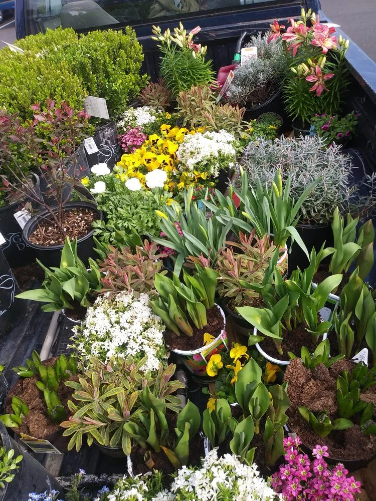 Expert lawn care service experts serving Holly Hill, FL - Ben Ashore Contracting