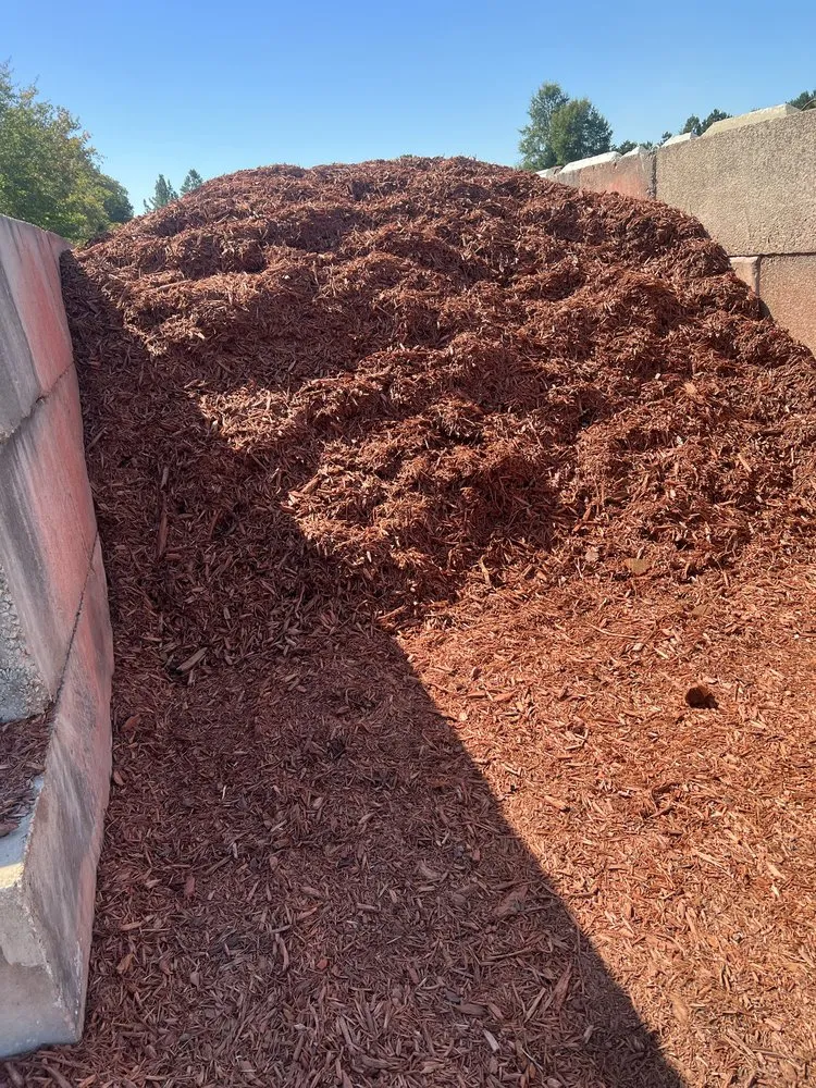 Custom yard cleanup service in Holly Hill, FL by Ben Ashore Contracting