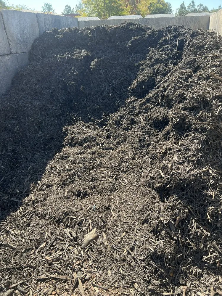 Custom residential landscaping for homes in Holly Hill, FL by Ben Ashore Contracting