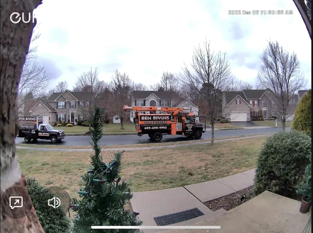 Reliable yard maintenance in Barnegat, NJ by Ben Bivins Tree Experts