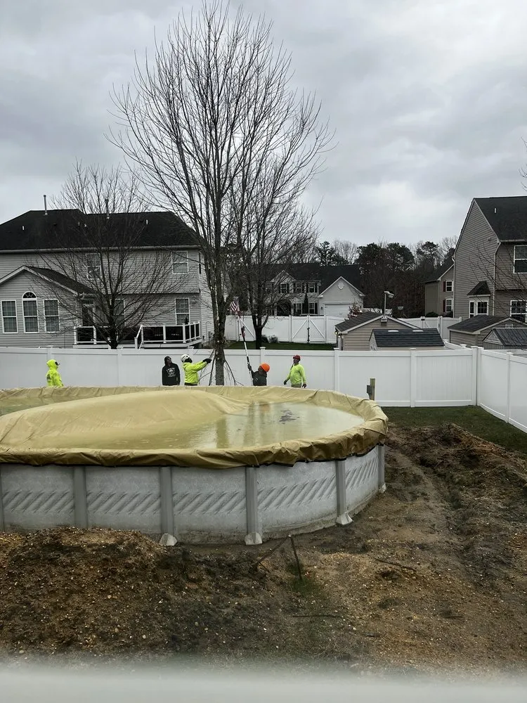 Custom yard cleanup service in Barnegat, NJ - Ben Bivins Tree Experts