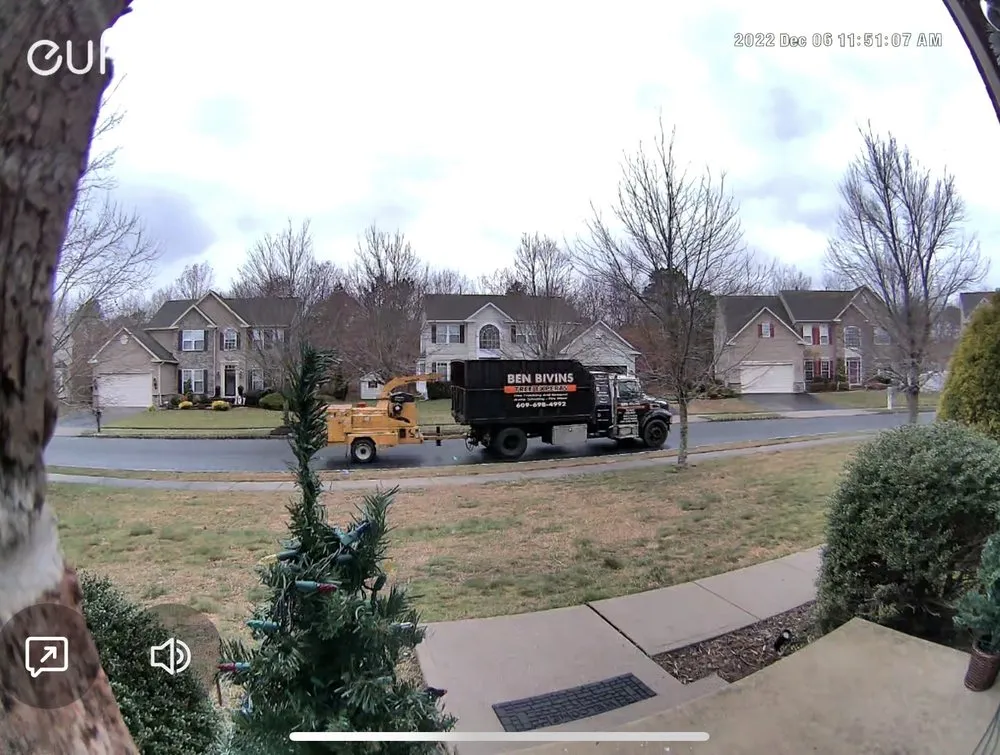 Top-rated yard maintenance for outdoor upgrades across Barnegat, NJ - Ben Bivins Tree Experts