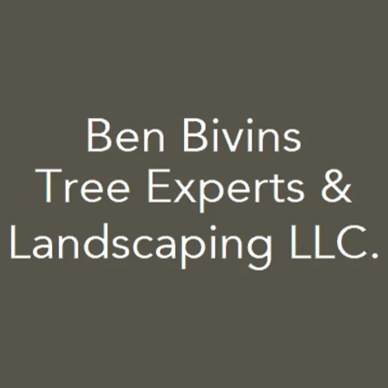 Local yard maintenance for year-round maintenance across Barnegat, NJ - Ben Bivins Tree Experts