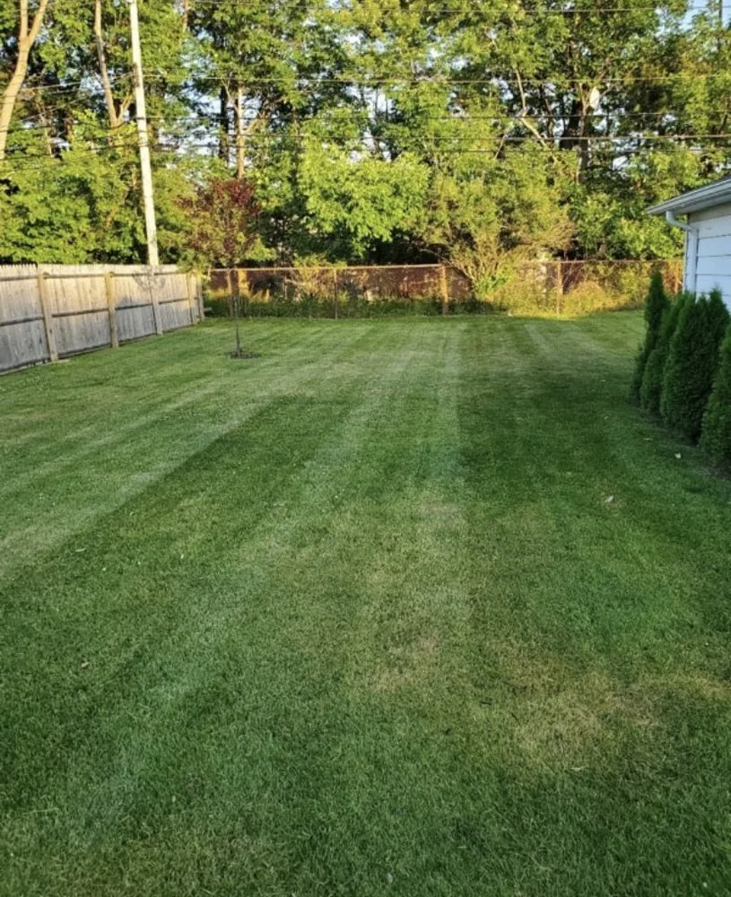 Local yard cleanup service with custom design across Beaumont, TX - Ben cuts