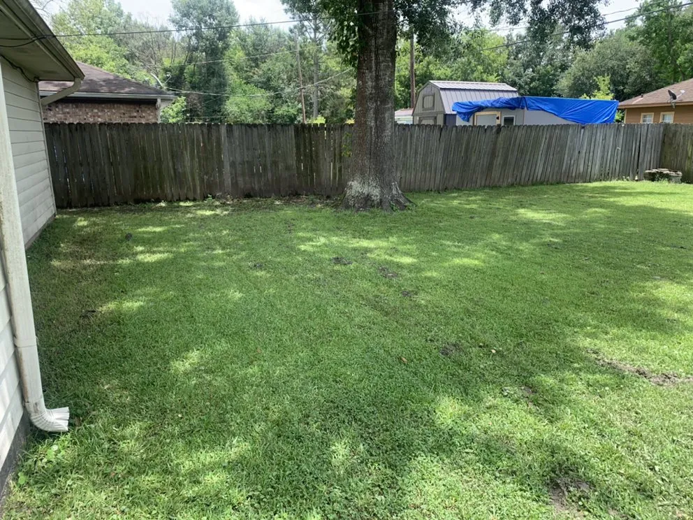 Reliable lawn mowing service in Beaumont, TX by Ben cuts