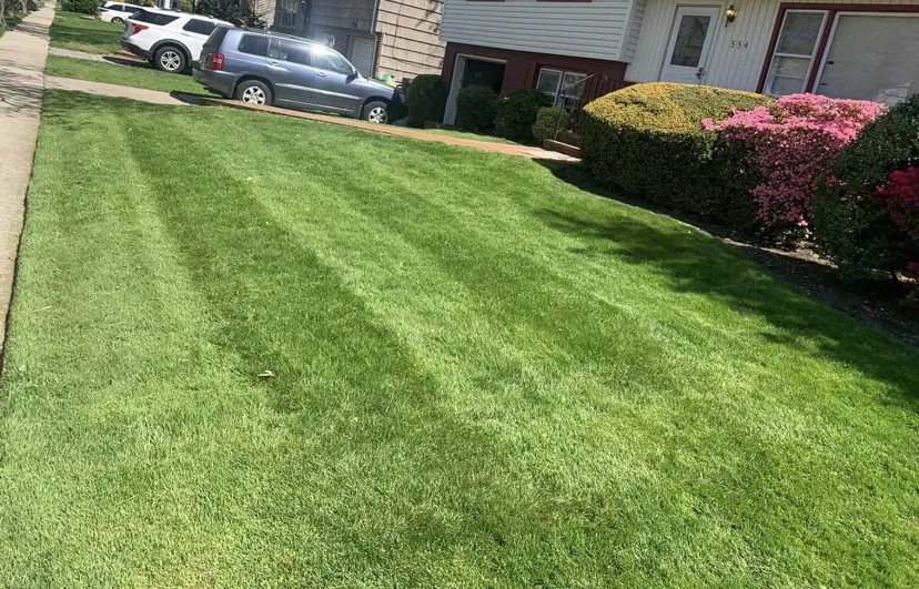 Affordable landscape installation experts serving Beaumont, TX - Ben cuts