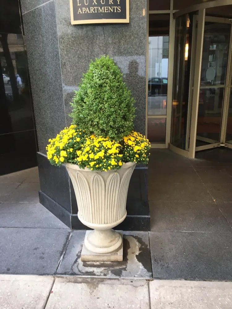 Custom lawn mowing service with custom design in Chicago, IL by Ben G Landscaping