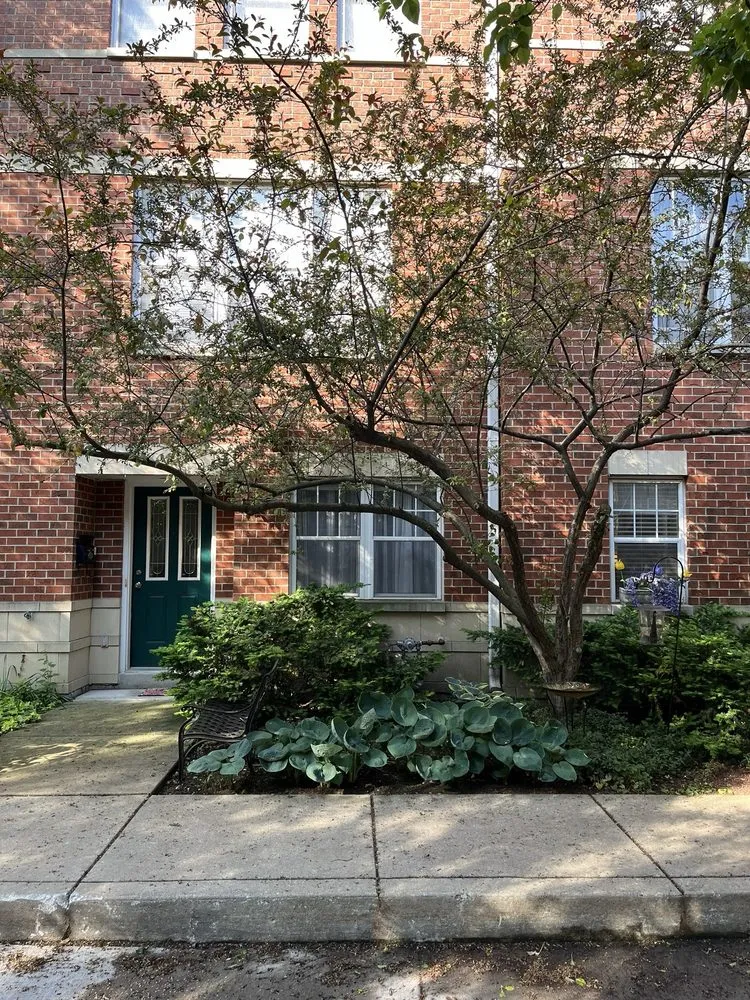 Trusted lawn care service in Chicago, IL - Ben G Landscaping