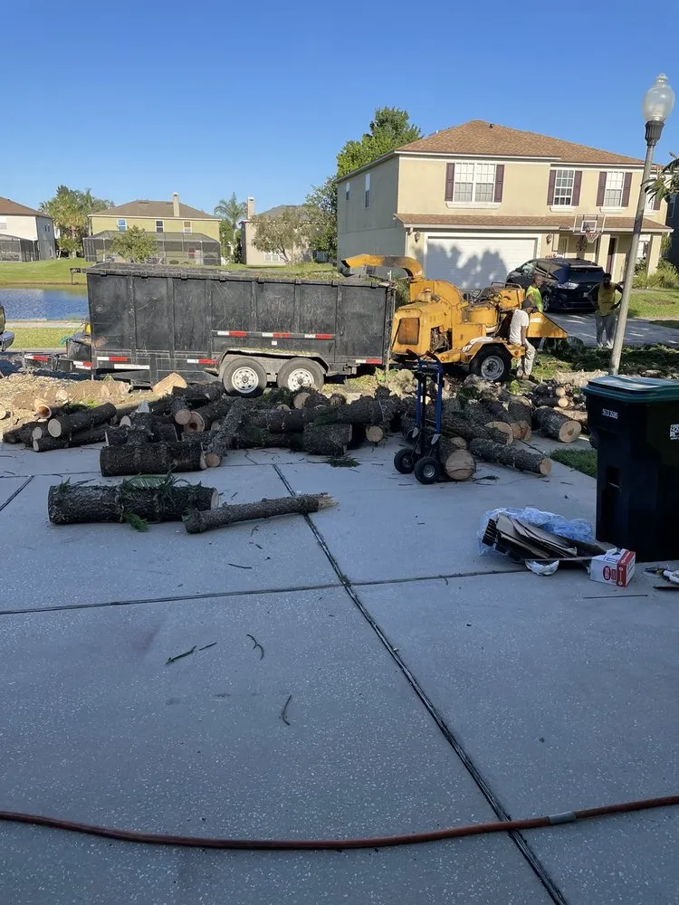 Trusted landscaping services for beautiful yards in Orlando, FL by Ben Muriel Landscape & Tree Service