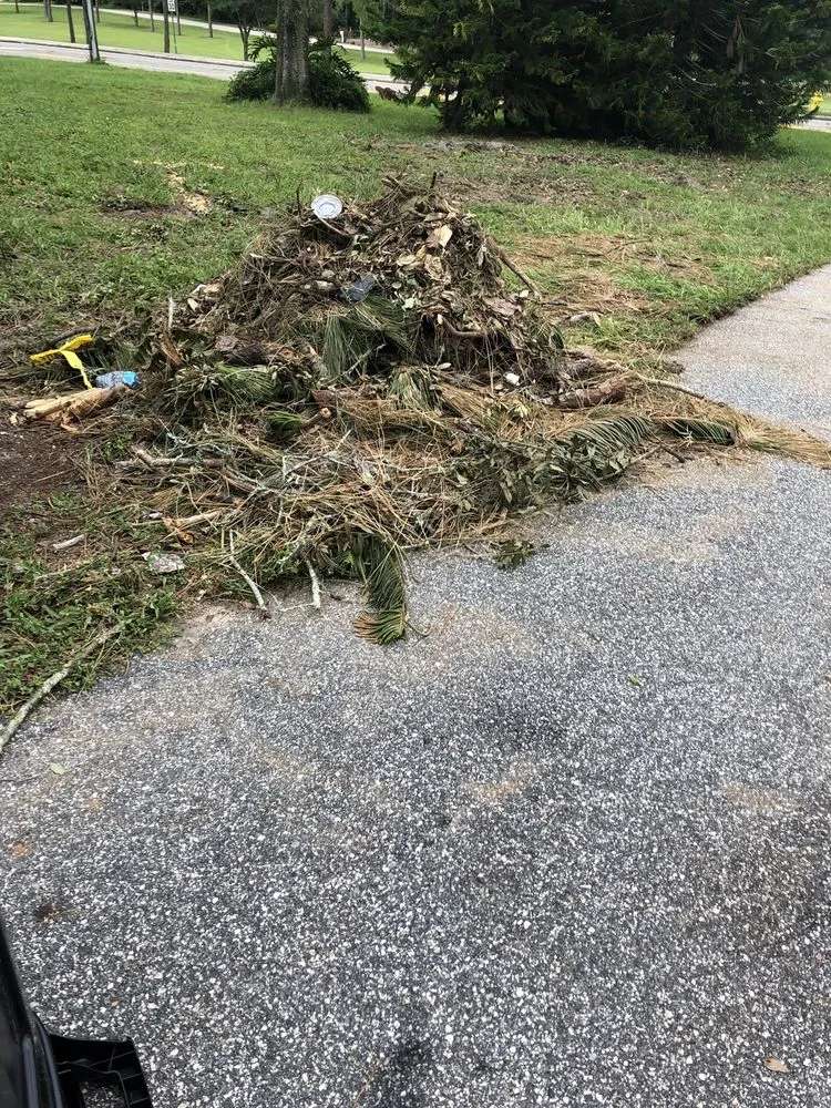 Reliable landscaping services for residential properties in Orlando, FL by Ben Muriel Landscape & Tree Service