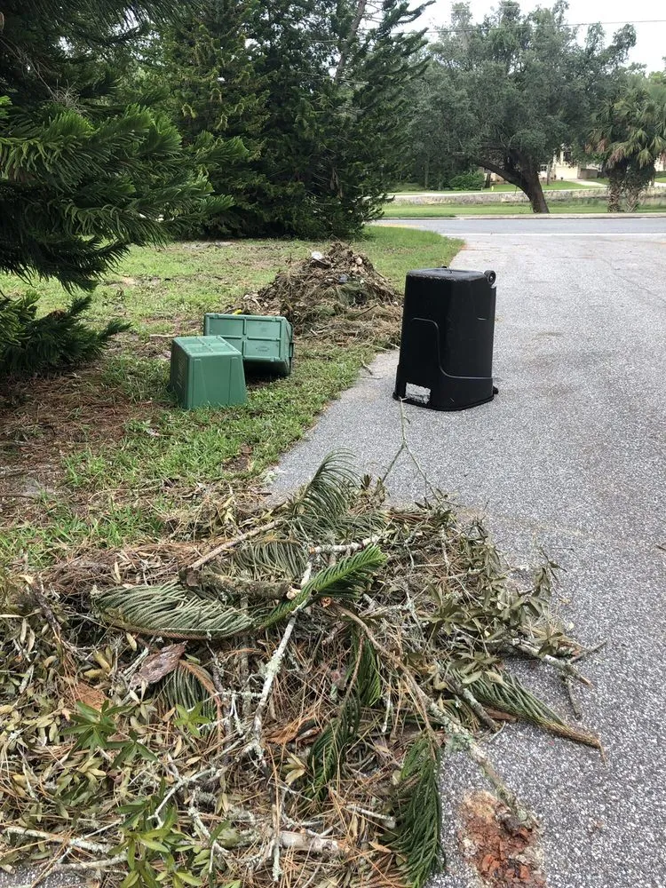 Affordable lawn mowing service with custom design in Orlando, FL by Ben Muriel Landscape & Tree Service