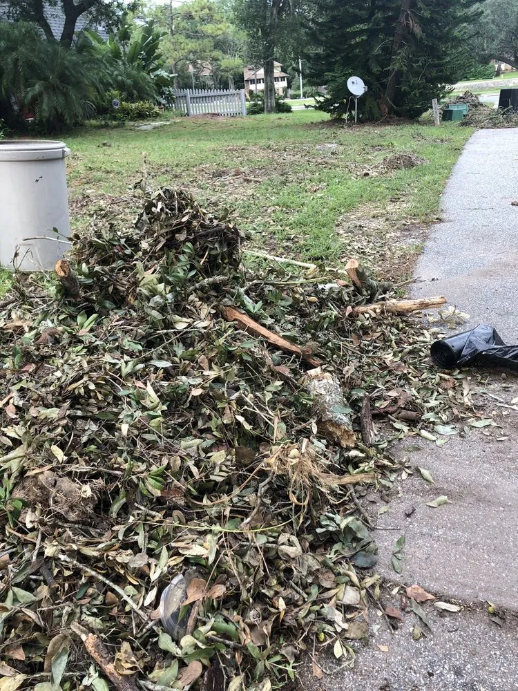 Professional yard cleanup service for outdoor upgrades in Orlando, FL by Ben Muriel Landscape & Tree Service