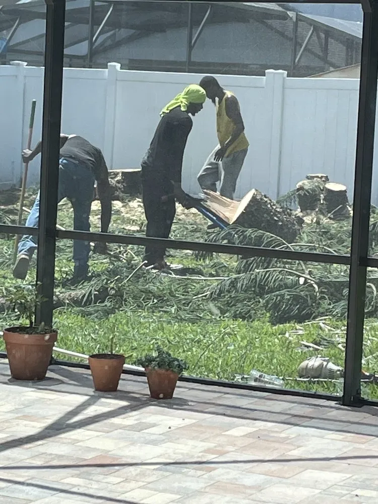 Custom residential landscaping experts serving Orlando, FL - Ben Muriel Landscape & Tree Service