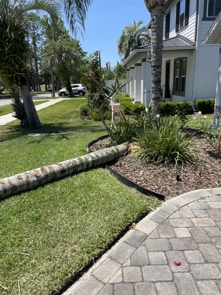 Local landscape installation in Orlando, FL by Ben Muriel Landscape & Tree Service