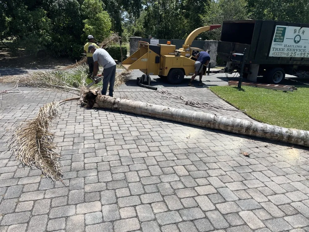Top-rated yard cleanup service experts serving Orlando, FL - Ben Muriel Landscape & Tree Service