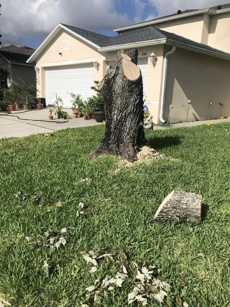 Trusted landscape design in Orlando, FL by Ben Muriel Landscape & Tree Service