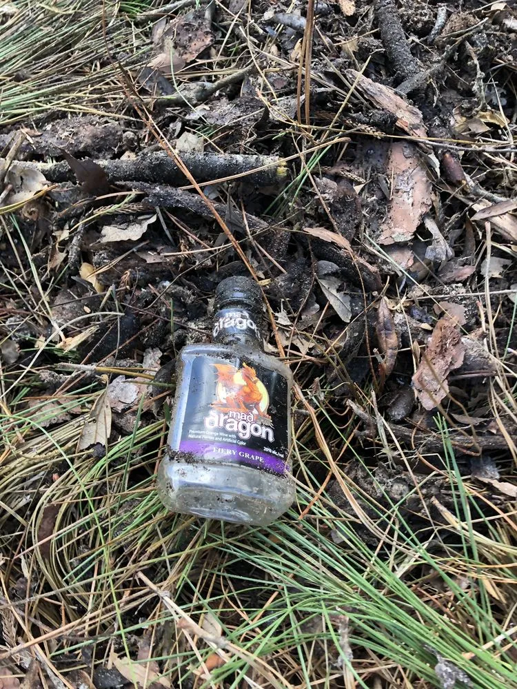 Affordable outdoor landscaping in Orlando, FL by Ben Muriel Landscape & Tree Service