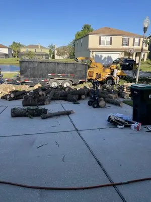 Ben Muriel Landscape & Tree Service Logo