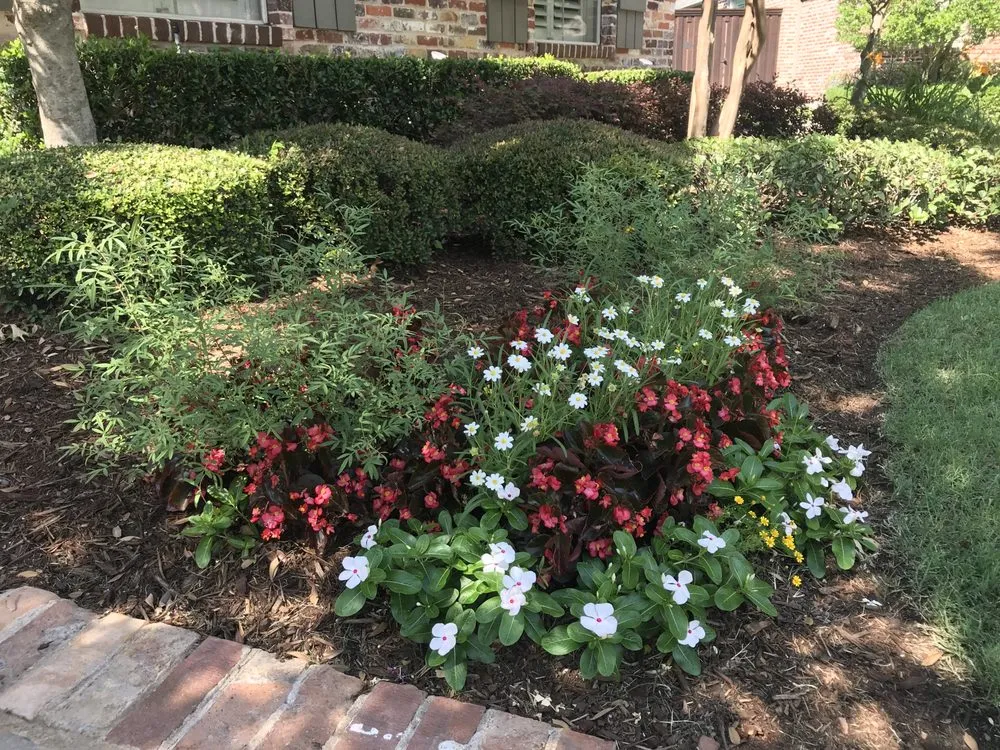 Trusted landscape design in Coppell, TX - Ben N Dads