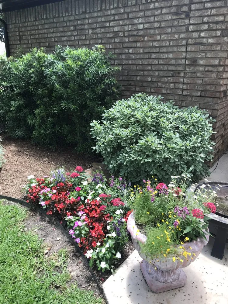 Trusted lawn care service experts serving Coppell, TX - Ben N Dads