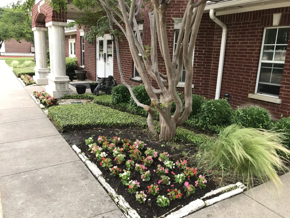 Affordable outdoor landscaping near you in Coppell, TX by Ben N Dads