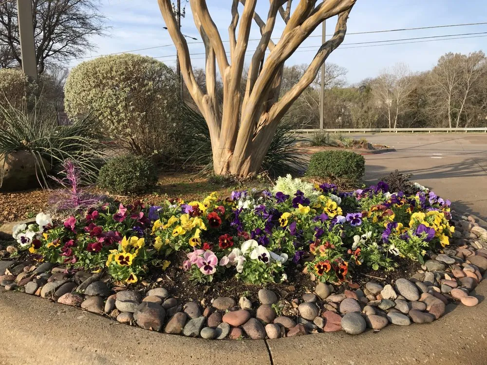 Expert landscape design for year-round maintenance across Coppell, TX - Ben N Dads