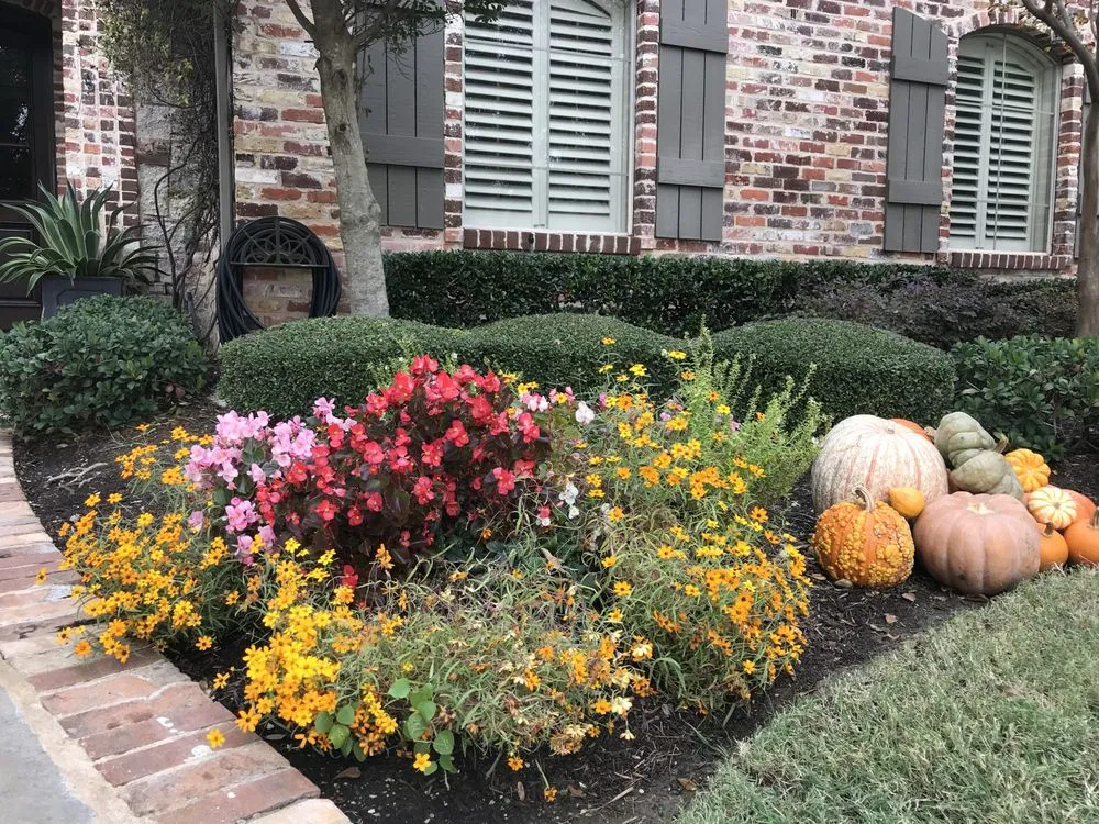 Trusted lawn mowing service with custom design across Coppell, TX - Ben N Dads