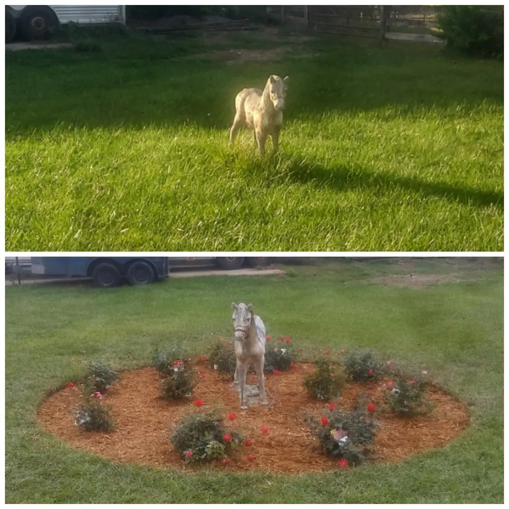 Trusted lawn mowing service in Hamilton Ohio, OH by Ben Oaks Landscaping