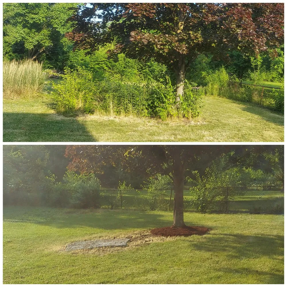 Affordable yard maintenance for homes across Hamilton Ohio, OH - Ben Oaks Landscaping