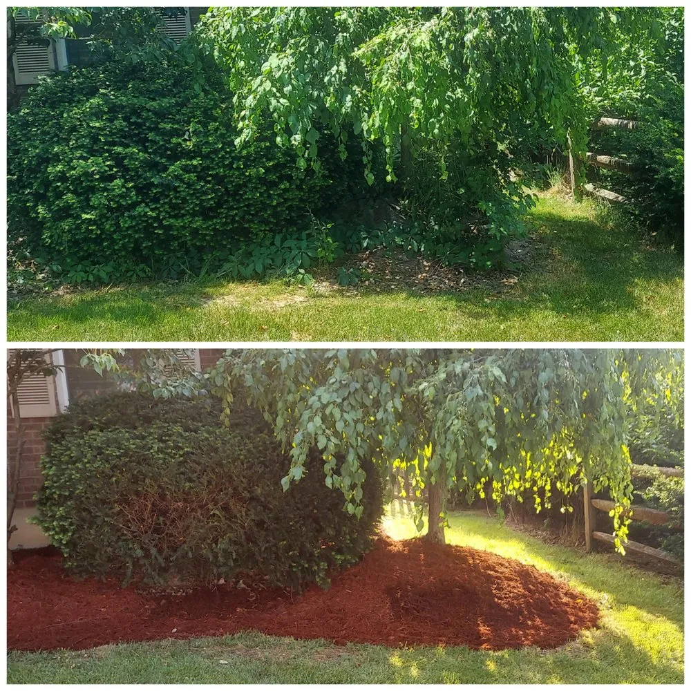 Expert yard maintenance in Hamilton Ohio, OH - Ben Oaks Landscaping