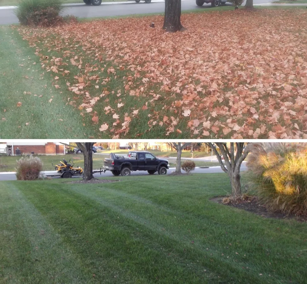 Professional yard cleanup service in Hamilton Ohio, OH by Ben Oaks Landscaping