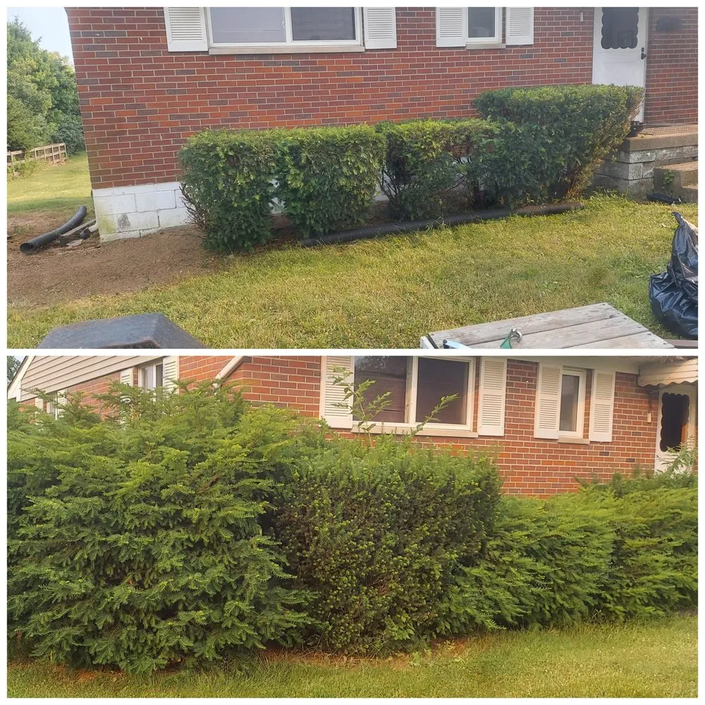 Professional outdoor landscaping in Hamilton Ohio, OH - Ben Oaks Landscaping
