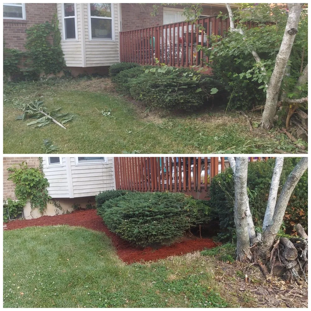 Affordable yard cleanup service for beautiful yards across Hamilton Ohio, OH - Ben Oaks Landscaping