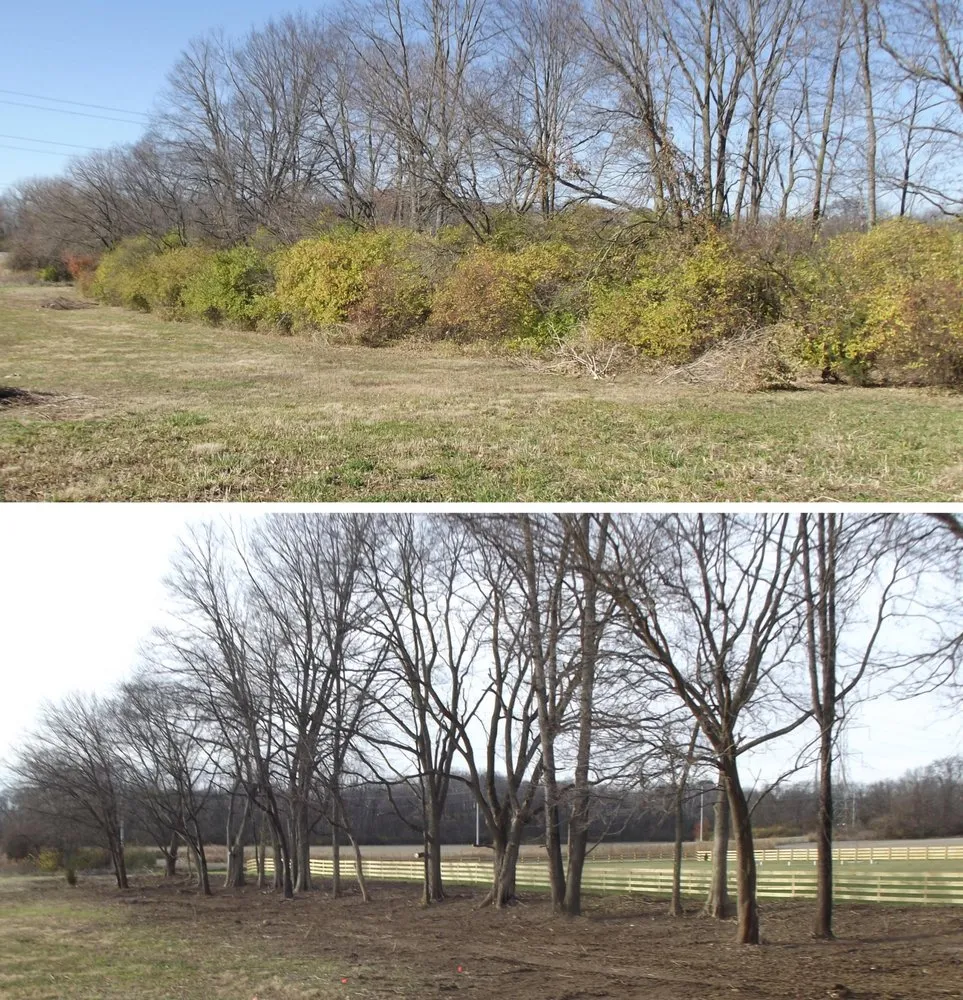 Affordable garden landscaping in Hamilton Ohio, OH - Ben Oaks Landscaping