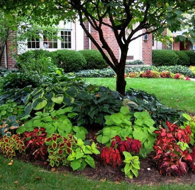 Affordable residential landscaping for homes across Littleton, CO - Ben Plowed Landscaping