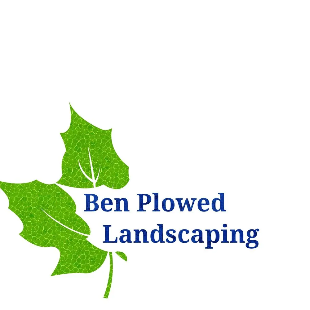 Affordable lawn care service in Littleton, CO by Ben Plowed Landscaping