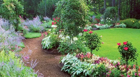 Local yard cleanup service for year-round maintenance across Littleton, CO - Ben Plowed Landscaping