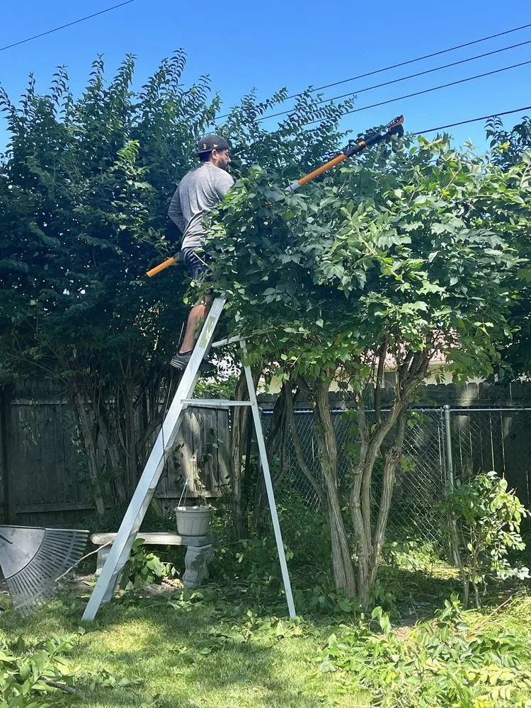 Local lawn care service in Plain City, OH by Ben Preston Landscaping